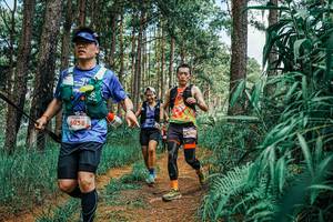 BIB: 
                            <button type="button" onclick="openModal(25751899)" class="btn btn-primary btn-sm float-right btn-popup" data-toggle="modal" data-target=".modal-high-quality">
                        <i class="fas fa-shopping-cart"></i> Add to Cart
                    </button>
                                            <button type="button" onclick="isThisMe(25751899, true)" class="btn btn-success btn-sm float-right btn-popup btn-isme hidden" data-toggle="tooltip" data-placement="bottom" title="นี่คือรูปของคุณใช่ไหม คลิกที่นี่เพื่อเอาเข้าอัลบั้ม">
                        <i class="fas fa-plus"></i> Add to album
                    </button>
                    <button type="button" onclick="isThisMe(25751899, false)" class="btn btn-warning btn-sm float-right btn-popup btn-isnotme hidden">
                        <i class="fas fa-ban"></i> Remove from album
                    </button>